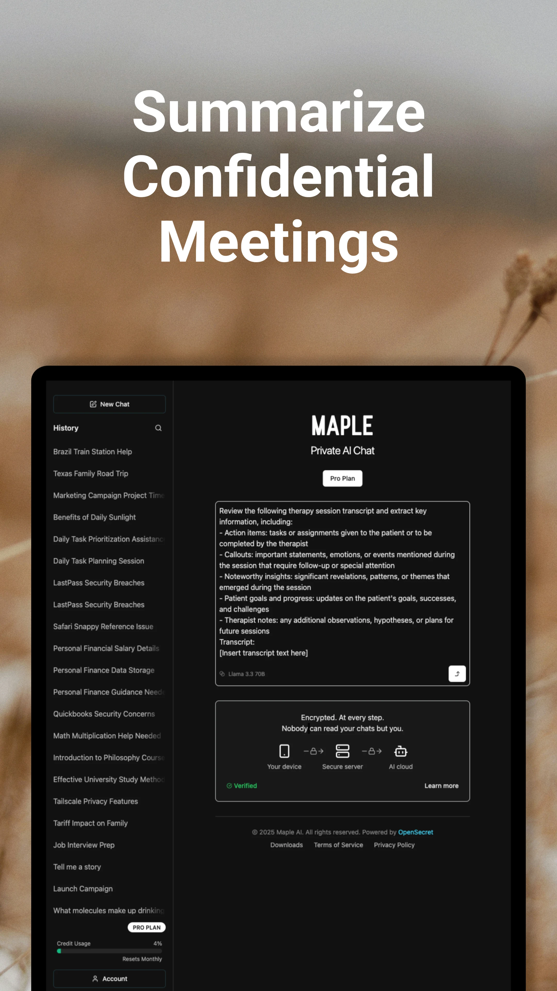 Maple - Private AI Chat & Sync screenshot