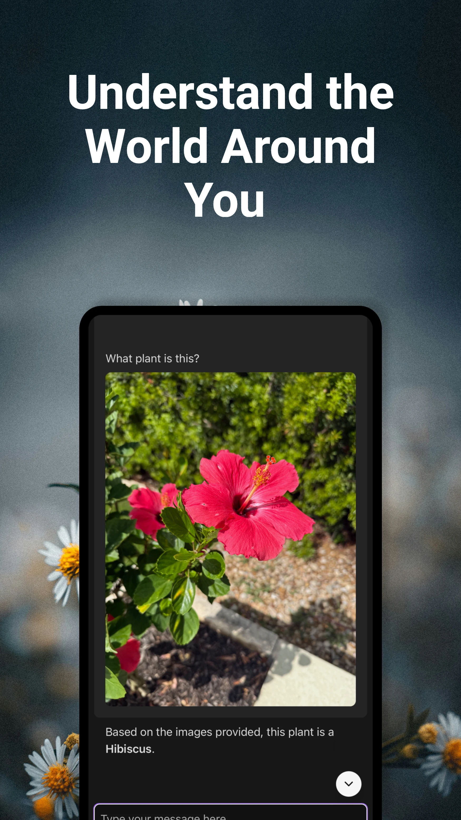 Maple - Private AI Chat & Sync screenshot